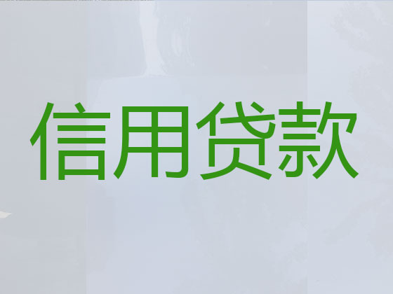 阜阳本地贷款中介公司